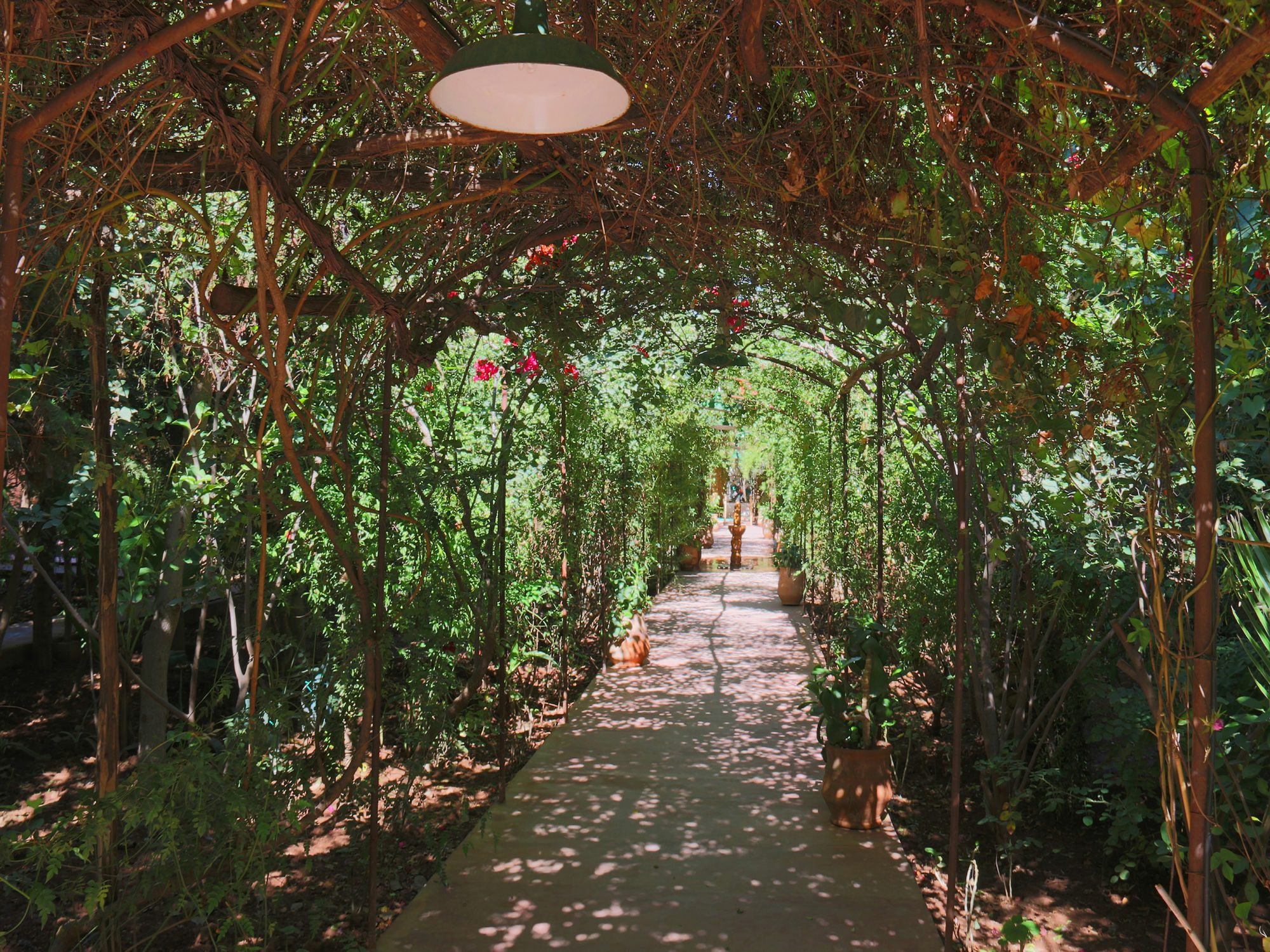 Le Jardin Touagana - Campement & Lodge Touggana Екстер'єр фото